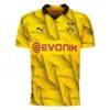 BVB Borussia Dortmund Cup Drakt 2023 24 | Offisiell Puma Drakt